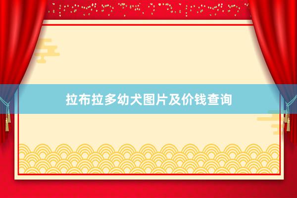 拉布拉多幼犬图片及价钱查询