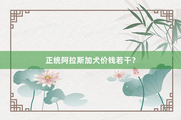 正统阿拉斯加犬价钱若干？